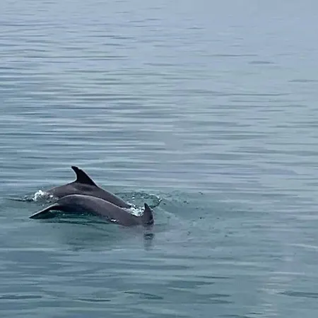 черно море Guest house